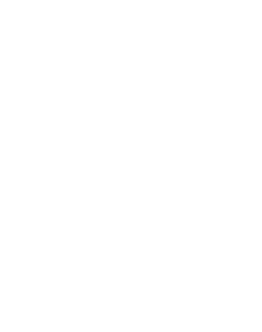 Penny for Pinellas logo