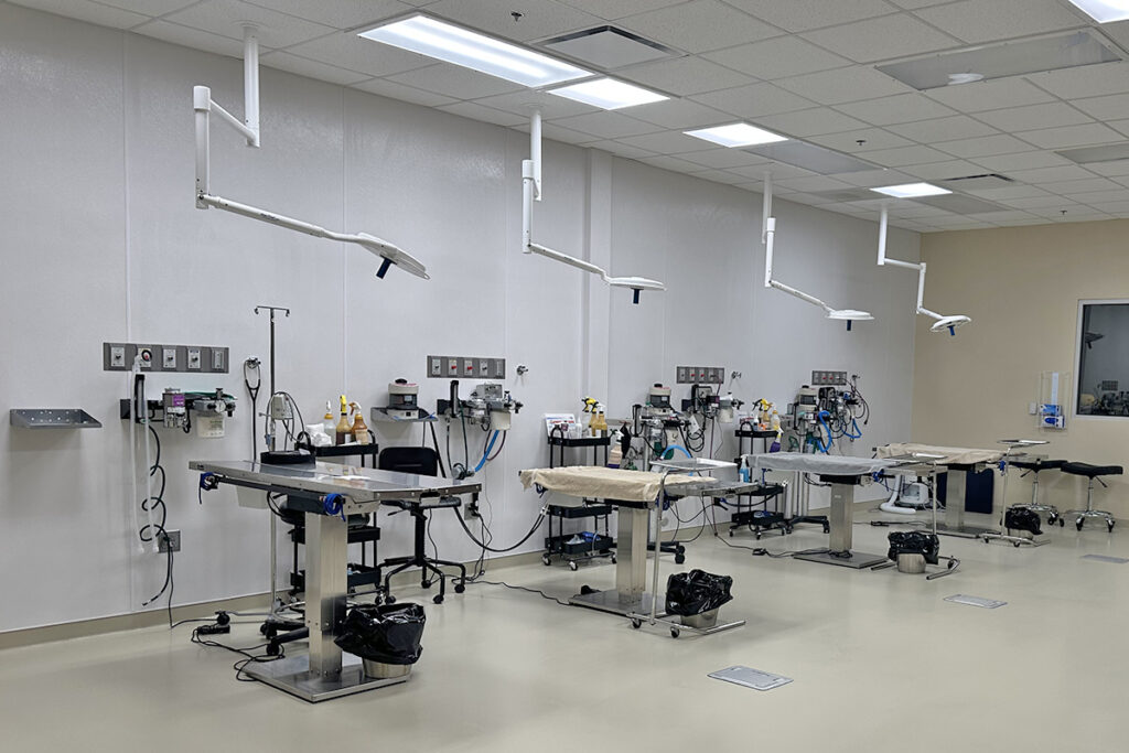 Pinellas County Animals Services' new and improved animal clinic
