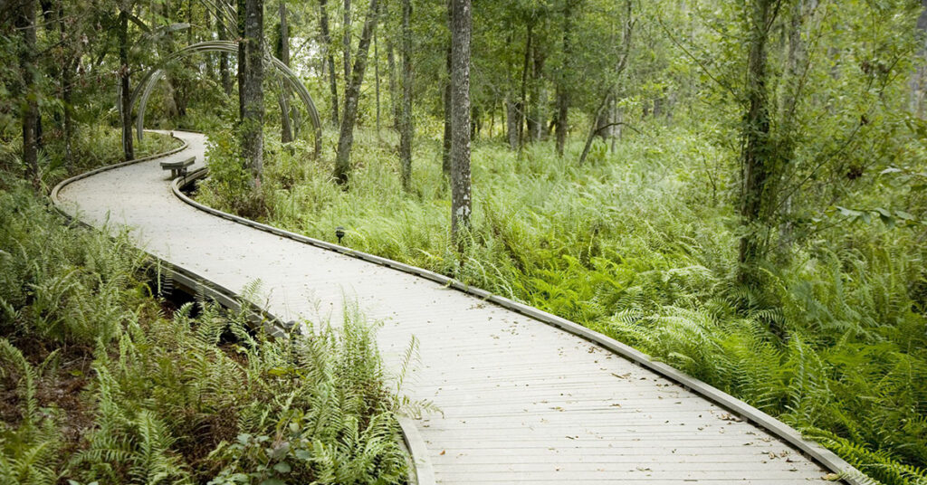 Boardwalk at Brooker Creek