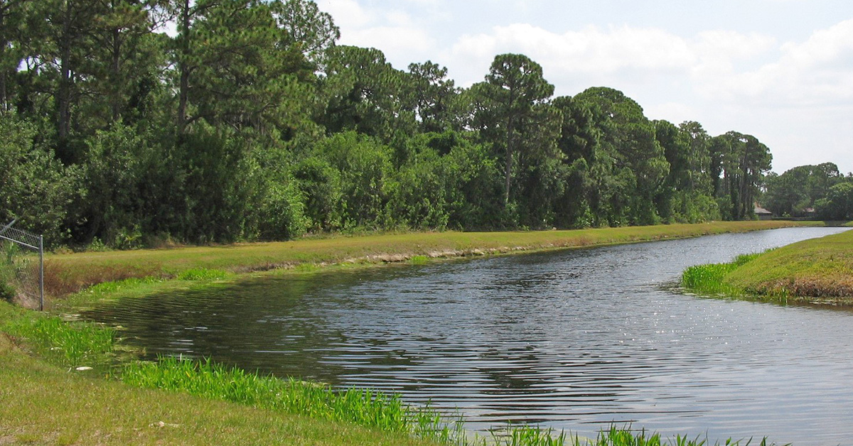 Roosevelt Creek Stormwater Facility in Clearwater