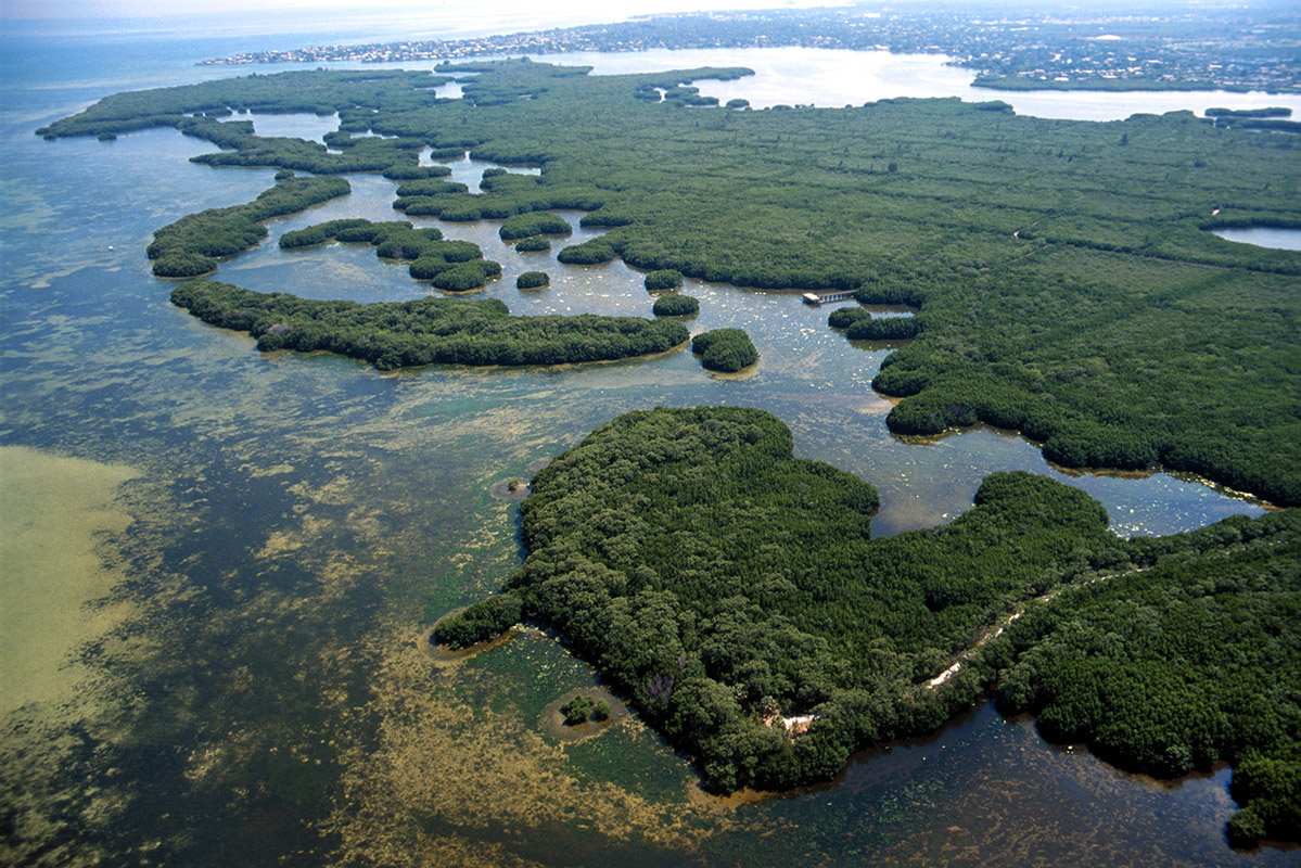 Weedon Island Preserve expansion