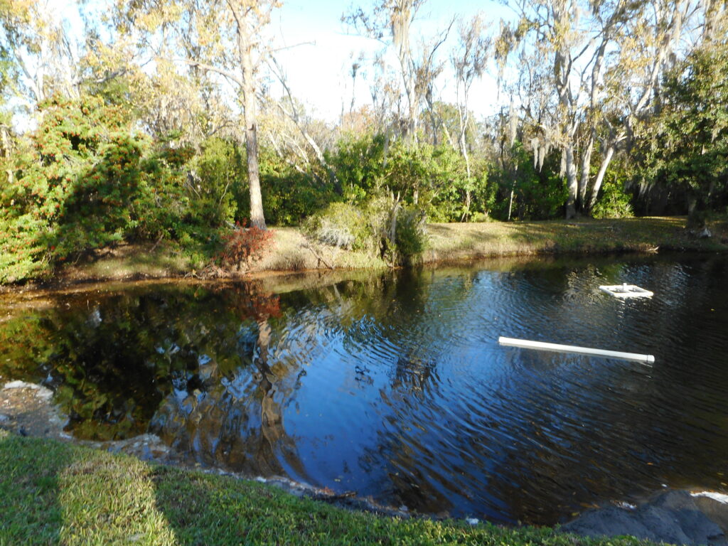 Wexford Leas Boulevard Drainage Pond