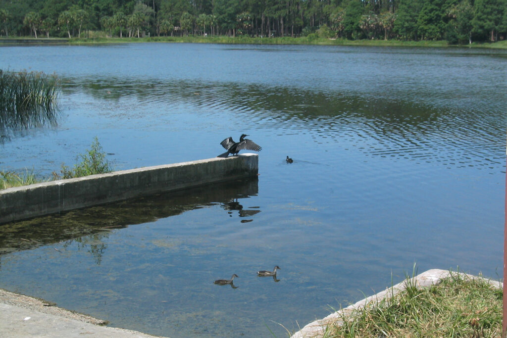 Taylor Lake at Taylor Park