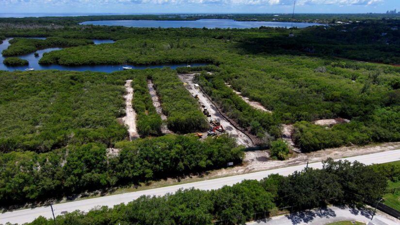 Salt marshes at Weedon Island Preserve