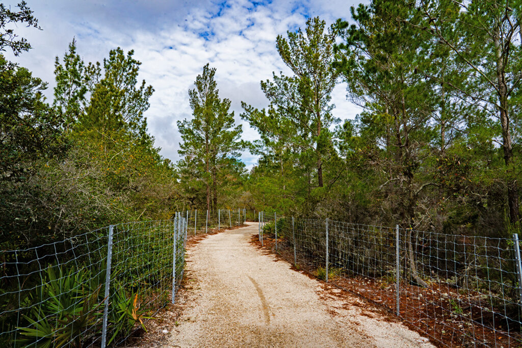 Gladys Douglas Preserve in Dunedin, FL