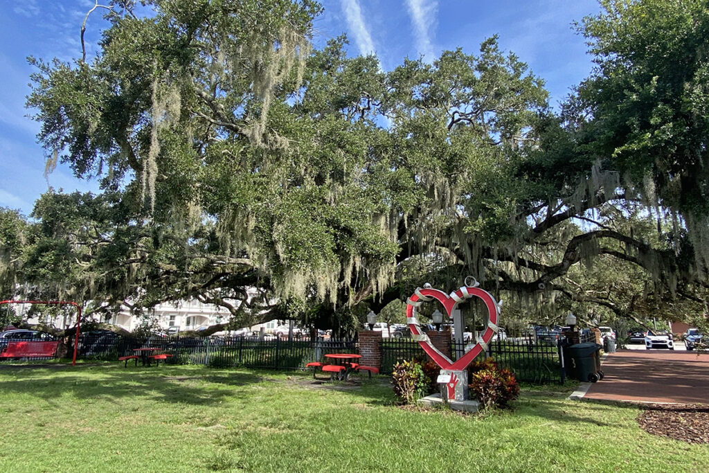 Baranoff Park in Safety Harbor, FL